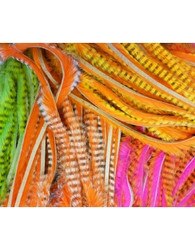 Hareline Dubbin Tiger Barred Magnum Rabbit Strips in Black and Orange and Yellow